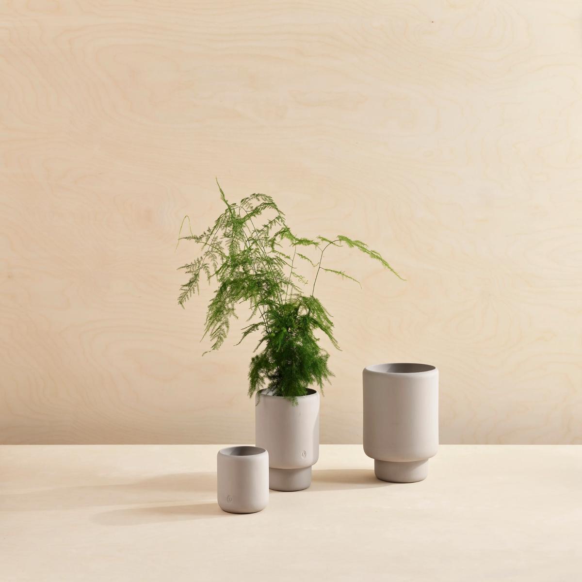 Botany Planter: Grey