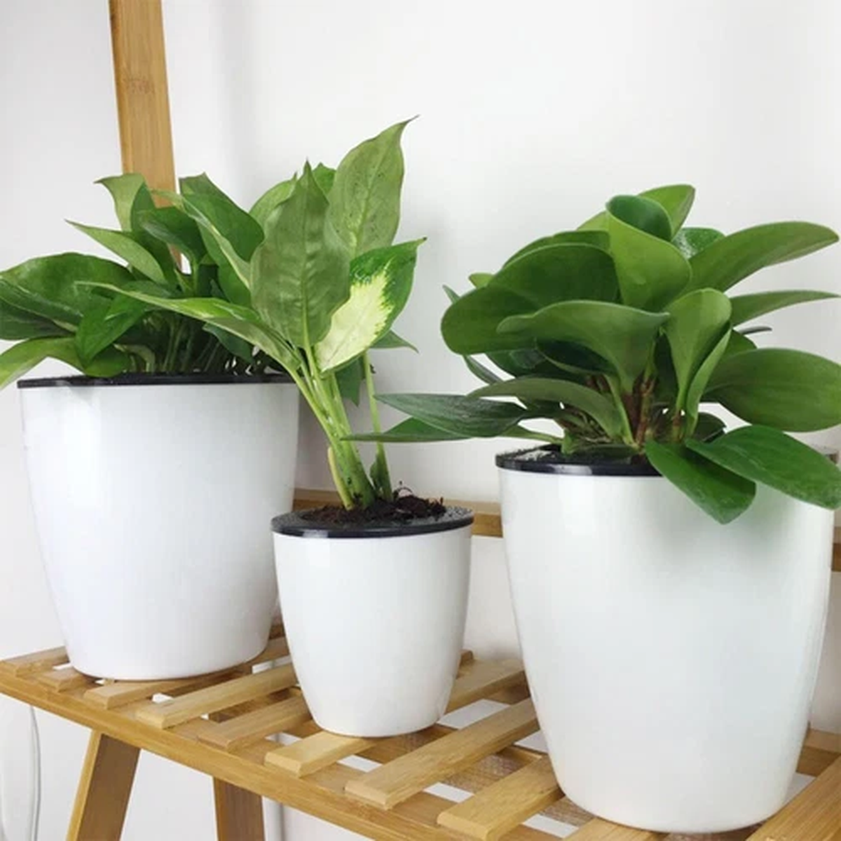 Stylish Round Flower Pot with Water Absorption Indoor and Outdoor Decoration