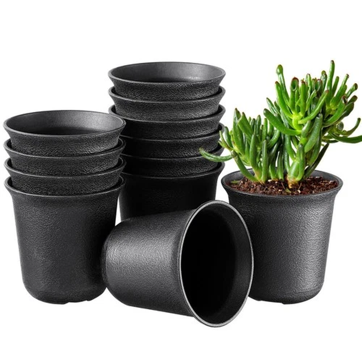 12 Pcs Plastic Succulent Pots Small Flower Planters With Drainage Holes