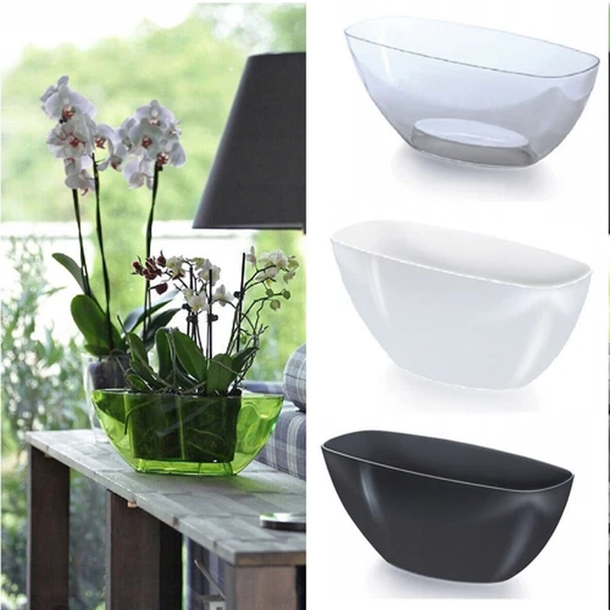 Plant Orchid Pot Plastic 3 Colours Oval Planter Transparent Clear 20 or 36cm cm
