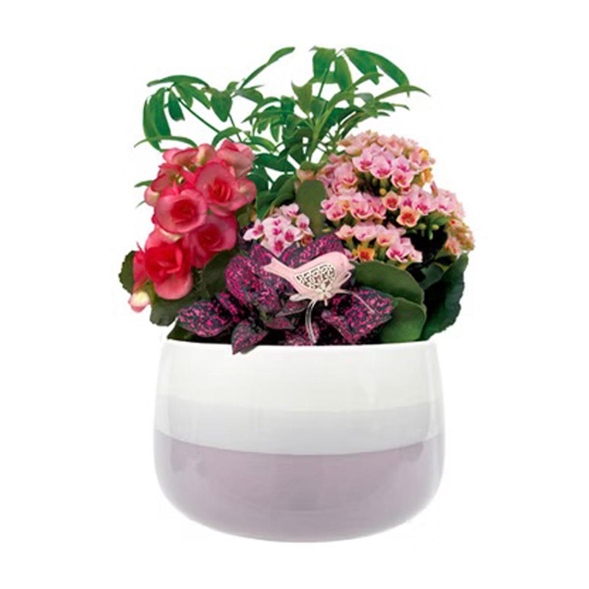 Aurora Ceramic Dish Garden 7.5" Easter Dish Garden