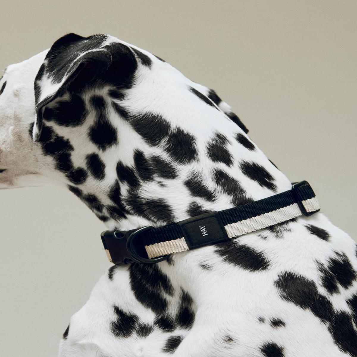 Dog Collar Flat by HAY