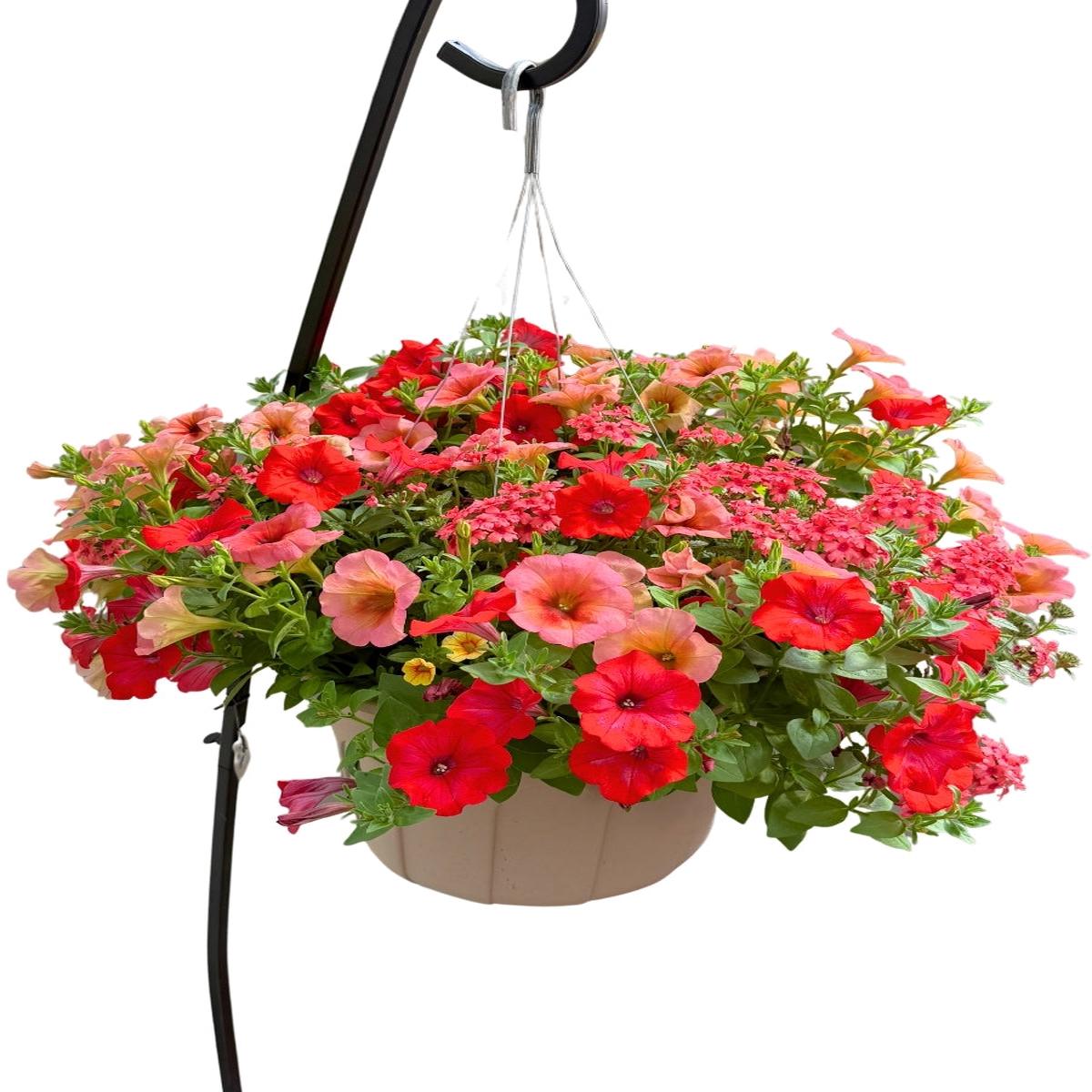 Mixed Basket Royal Red Mango