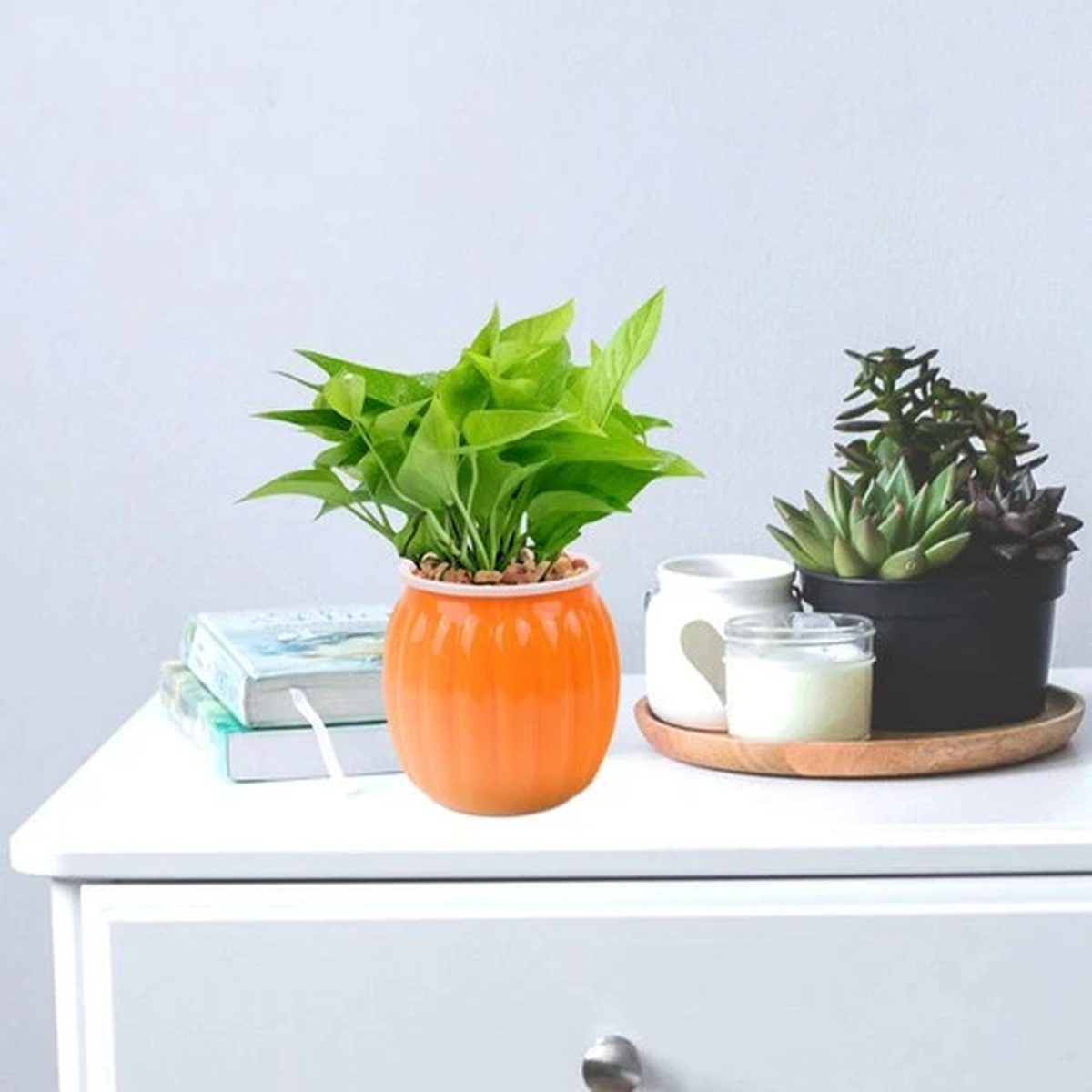 Self Watering Flower Pot Water-absorbing Automatic Absorption Flowerpot