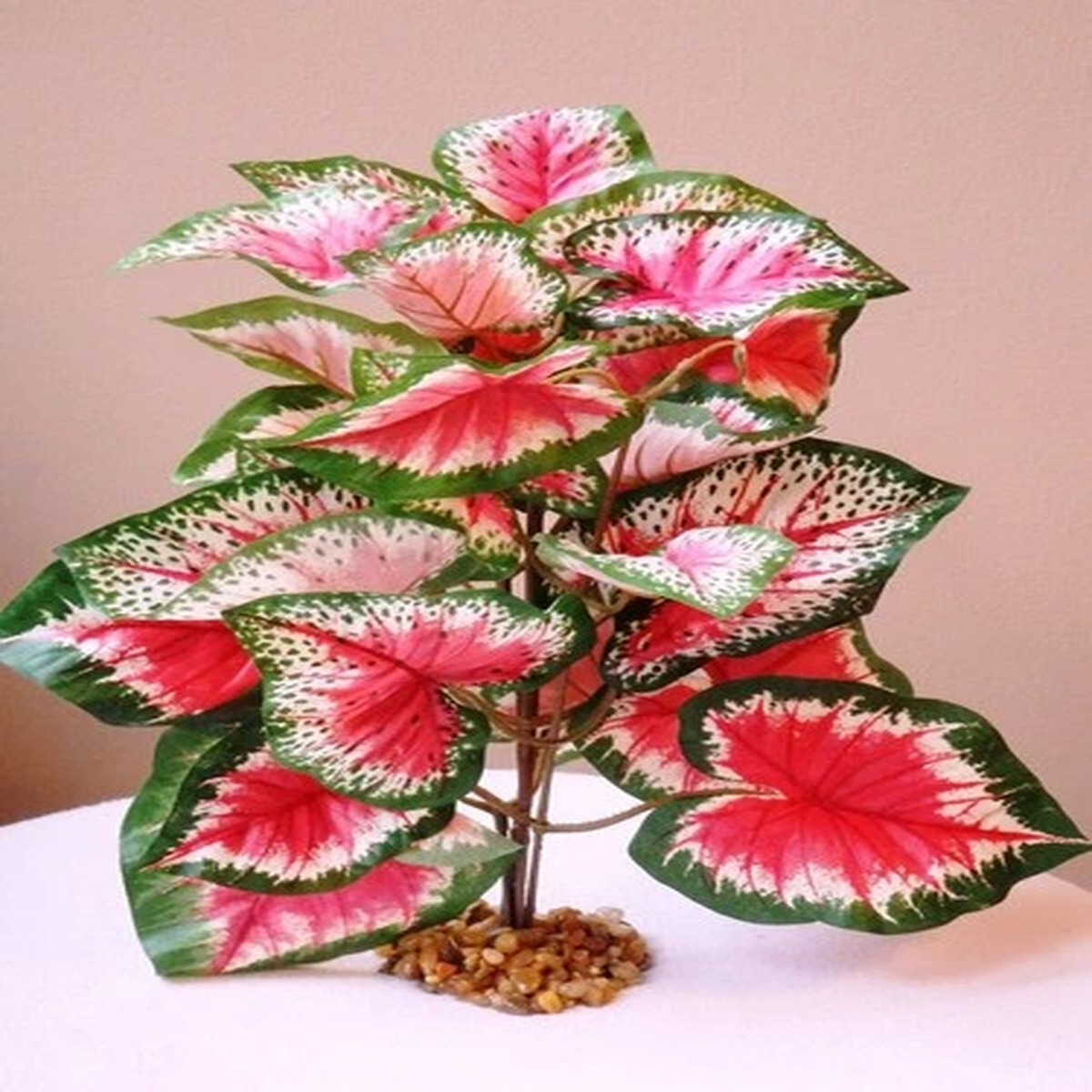 11" Large PINK & GREEN Caladium Bush Very soft silk Plant, Stone Base, Goldfish