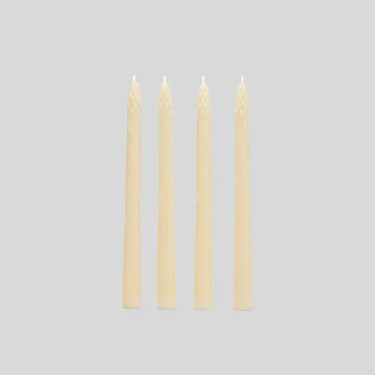The Asparagus Bunch in Ivory - 4 Tapered Candles by Maison Balzac
