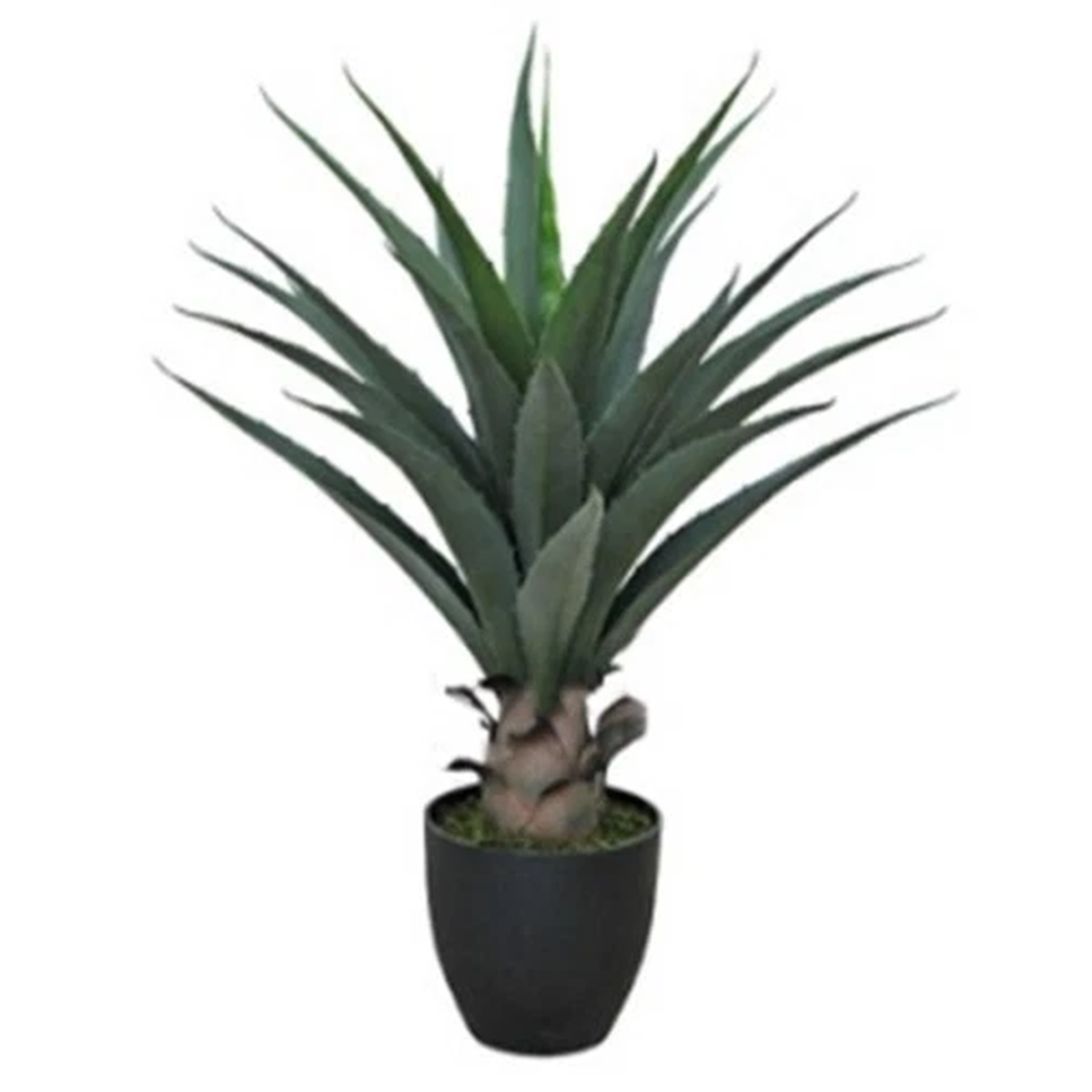Tropical Yucca Artificial Plant 70cm Agave Large