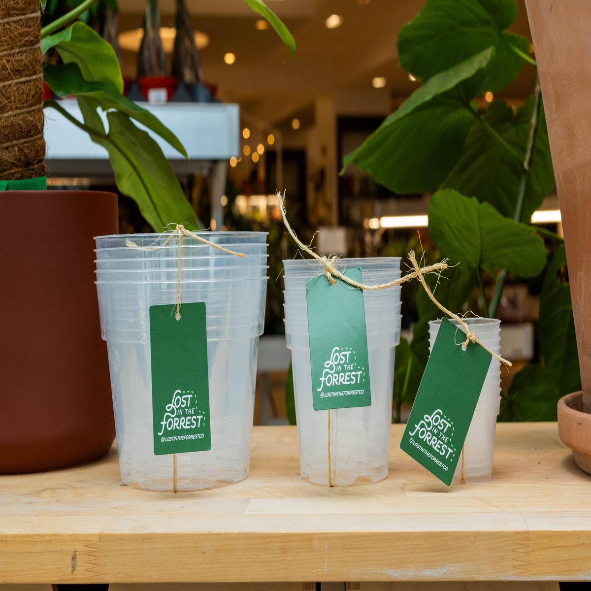 Clear Grower Pot