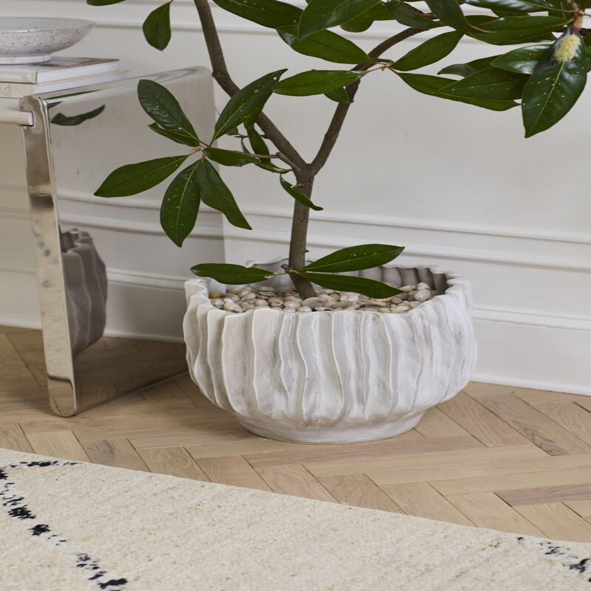Scavo Pot