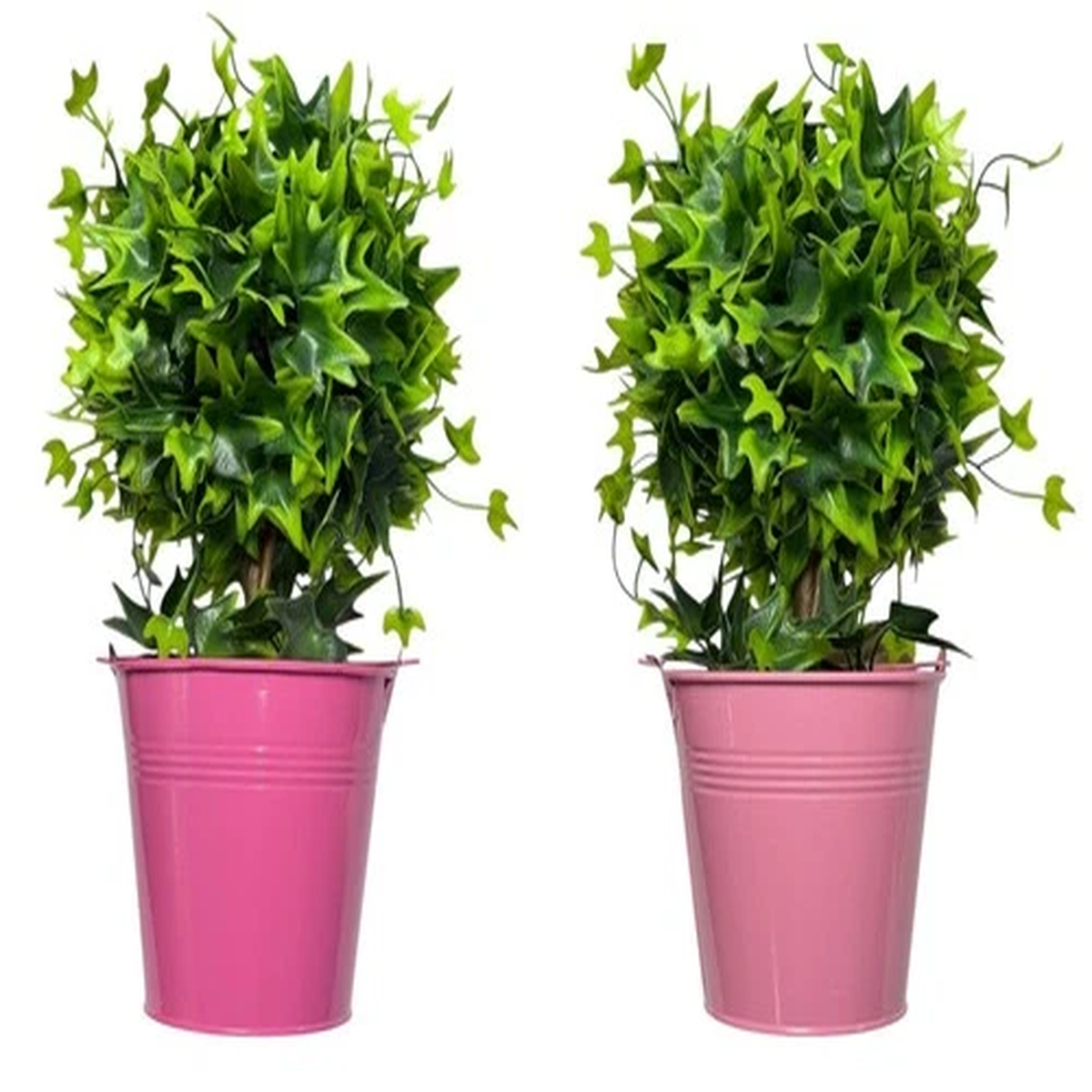 ALUNA HOME Bright Colour Tin Wedding Metal Flower Plant Pot Bucket 12cm