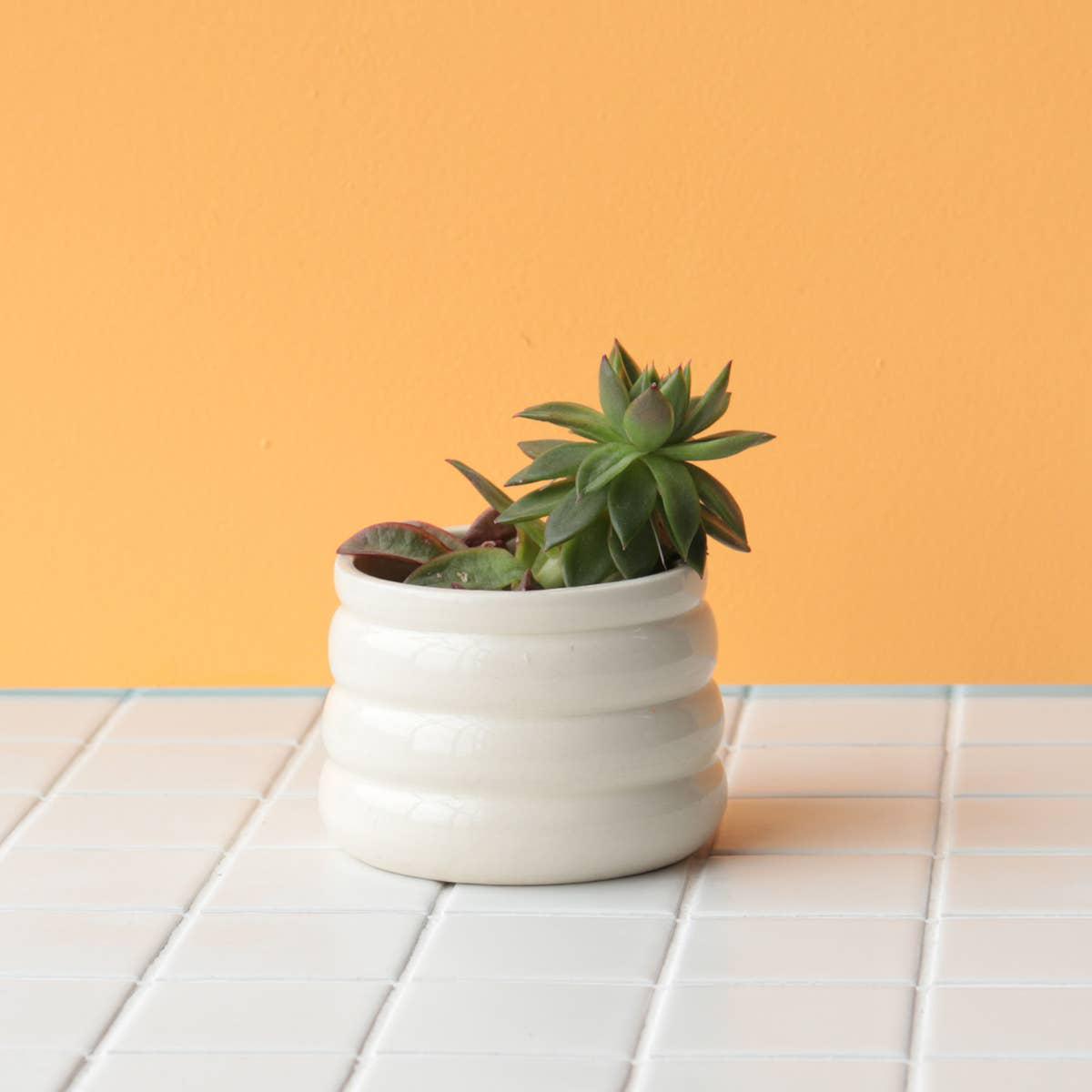 Nightshift Ceramics Marshmallow Planter