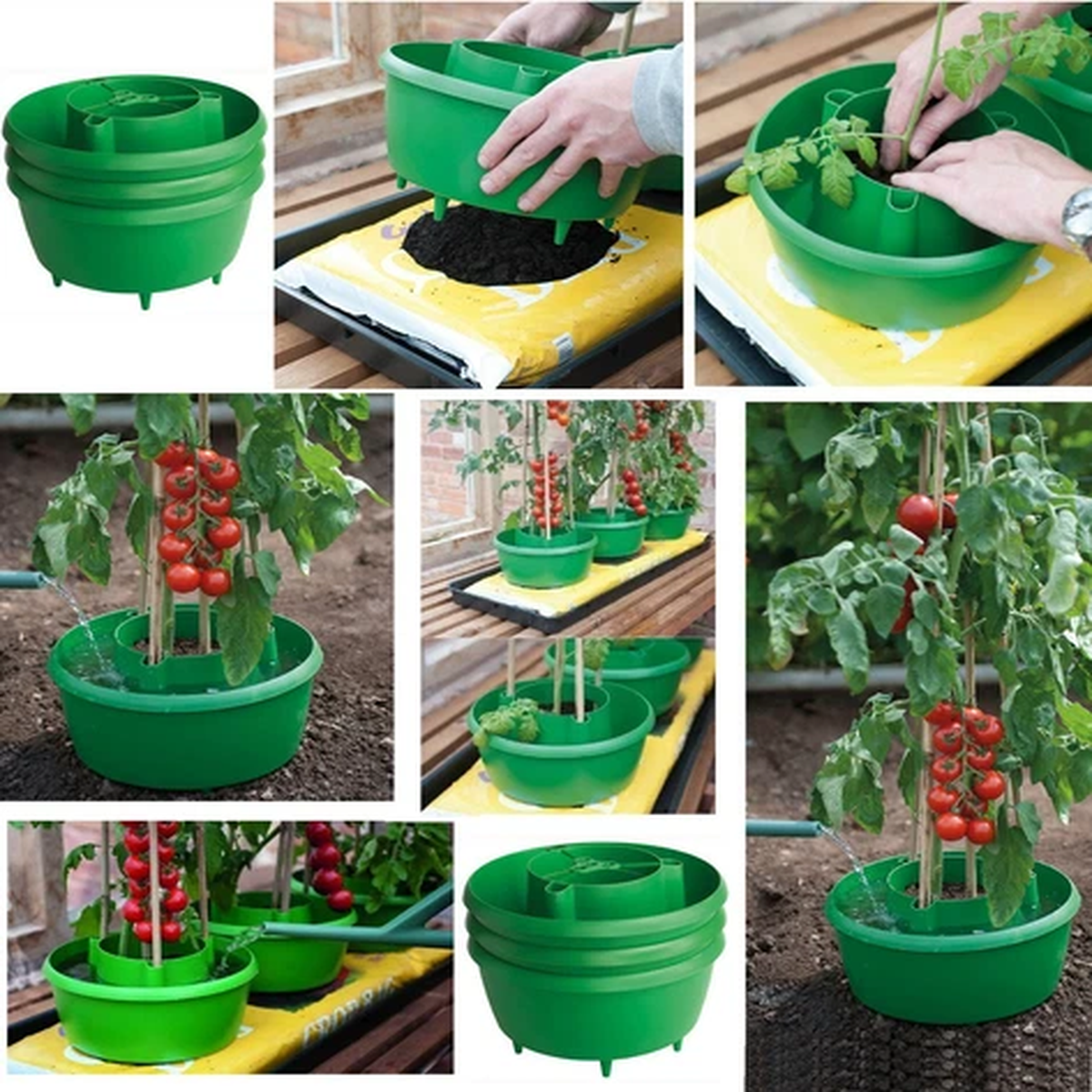 GARDEN PLANT HALO HALOS TOMATOES TOMATO PLANTER BEAN GROW BAG WATERING POT TUB