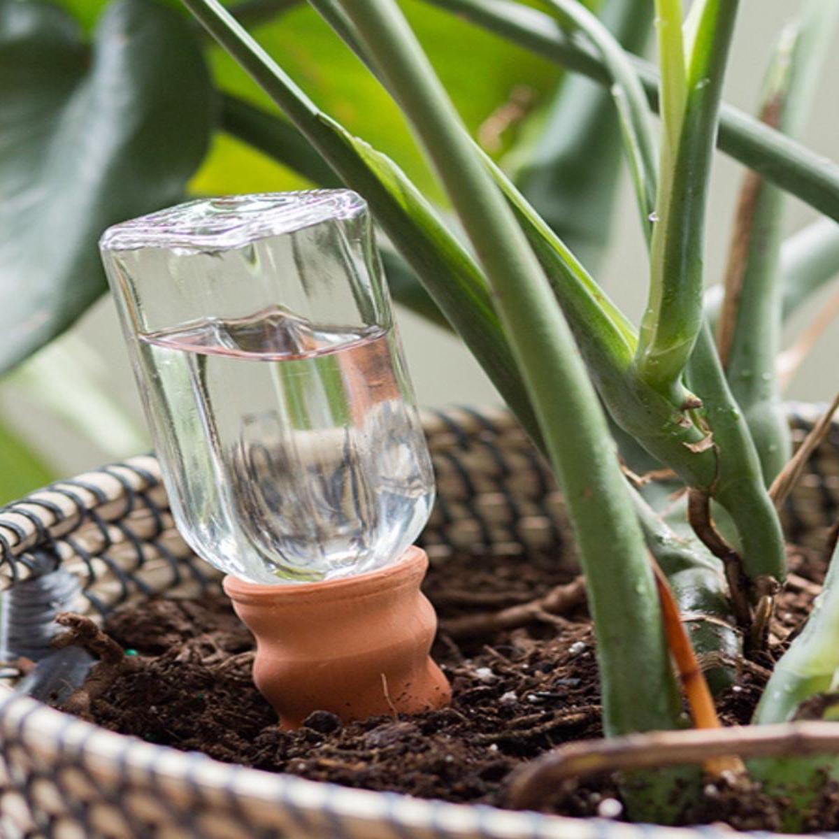 Plant Pal Never Dry Mini