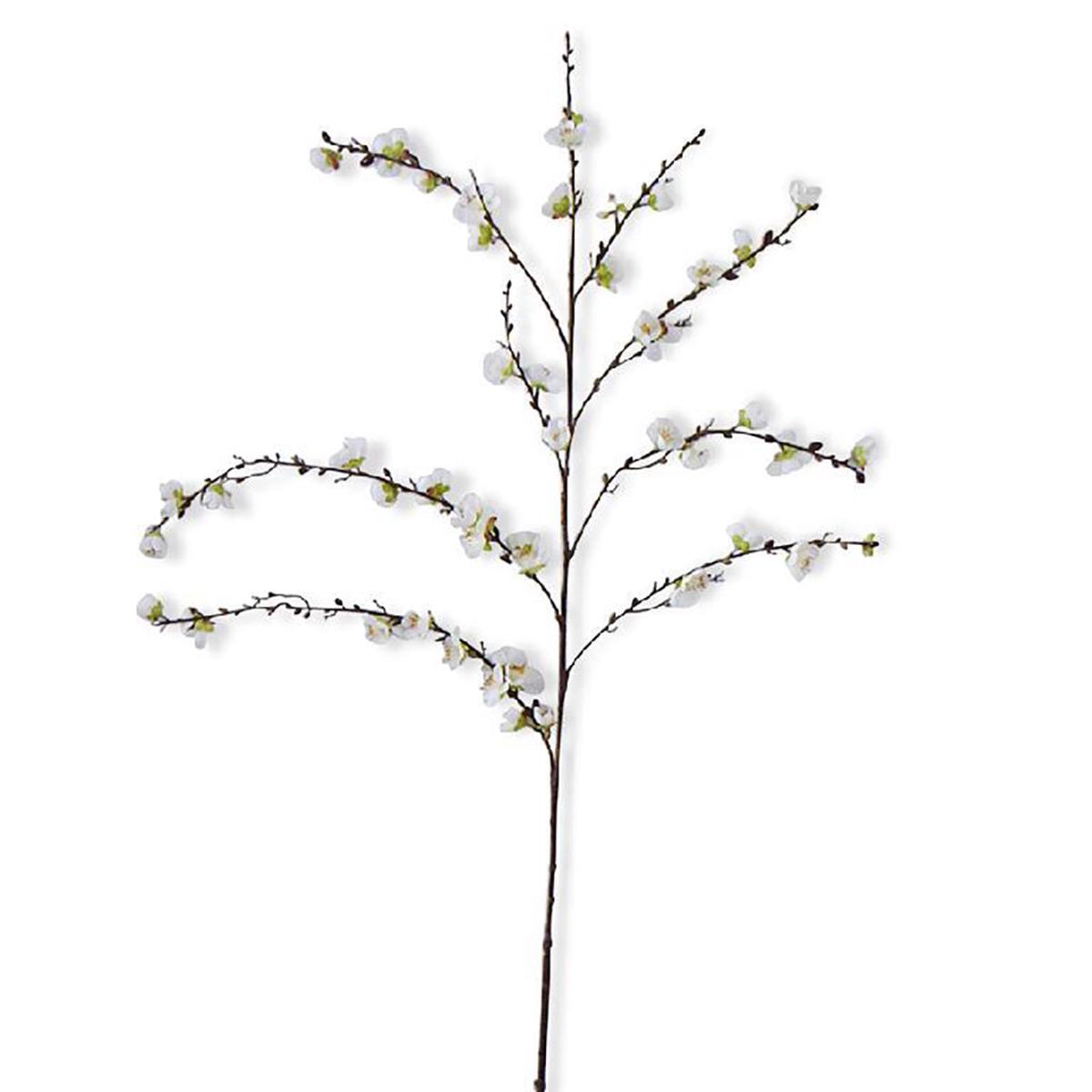 Cherry Blossom Stem White Everlasting