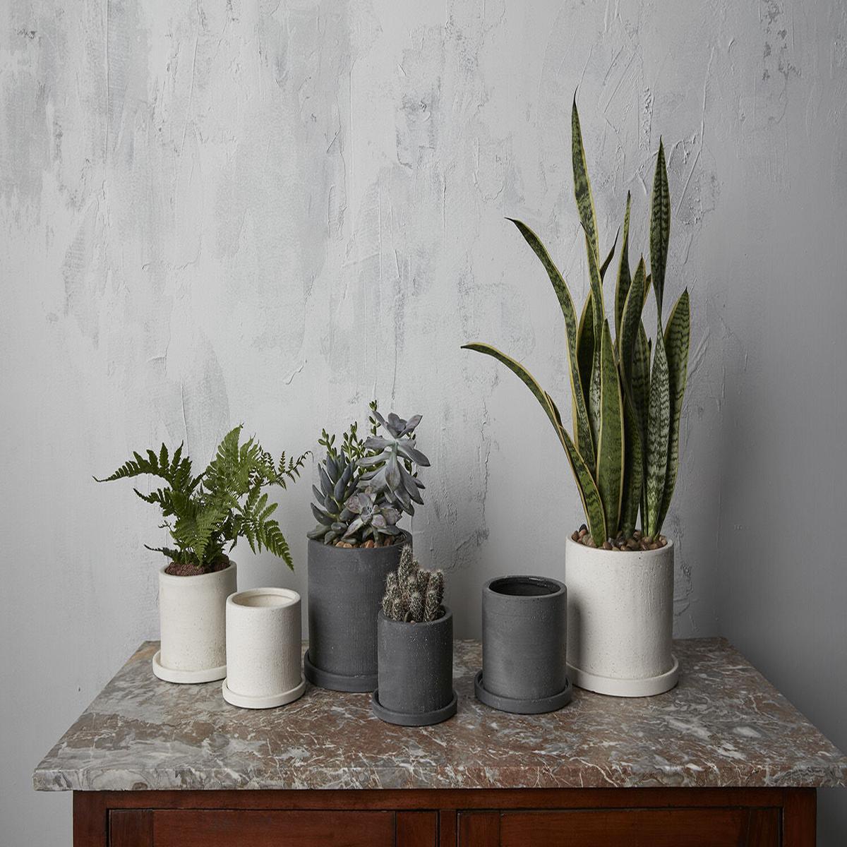 Easton Planter