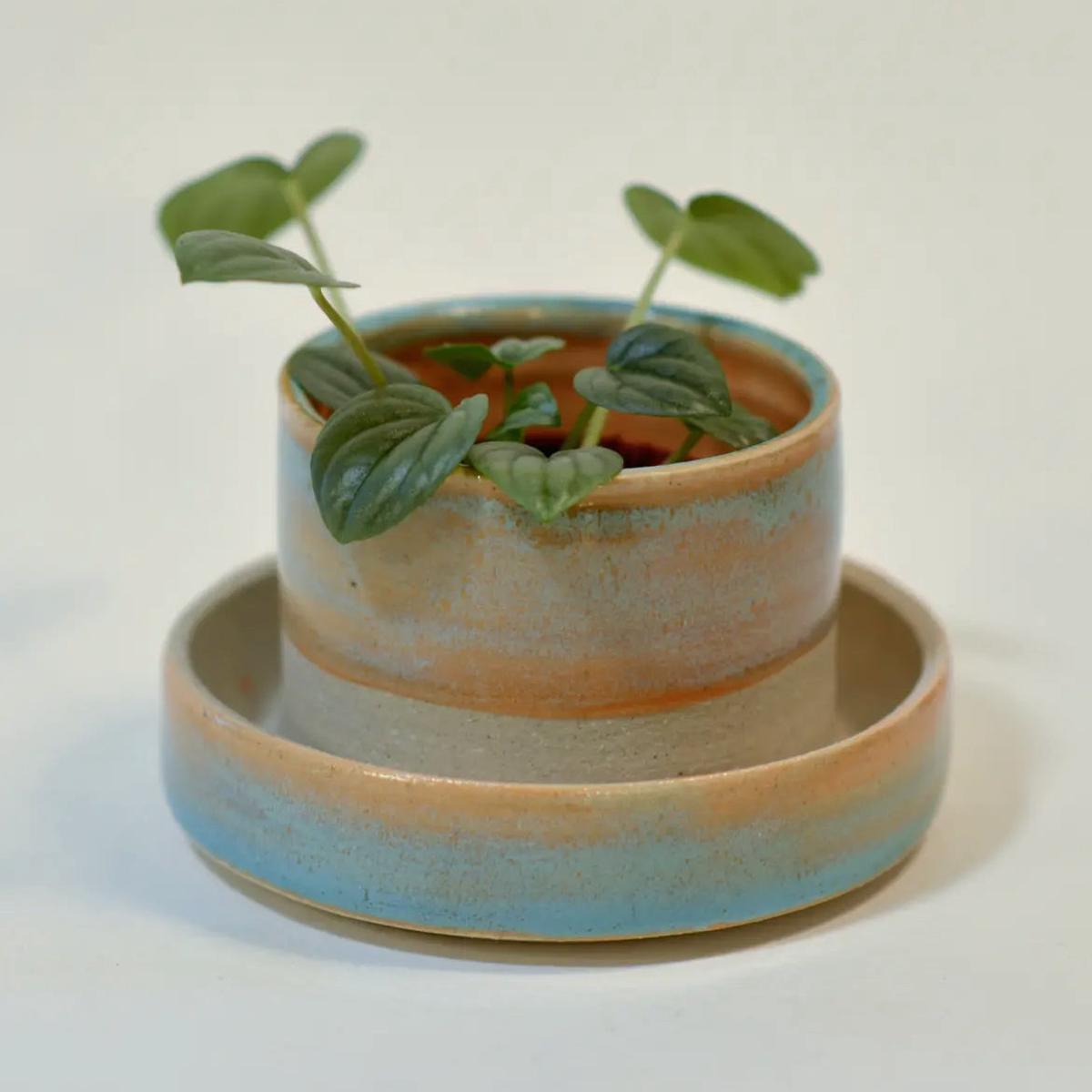 Swan City Planter: Sunset Blue