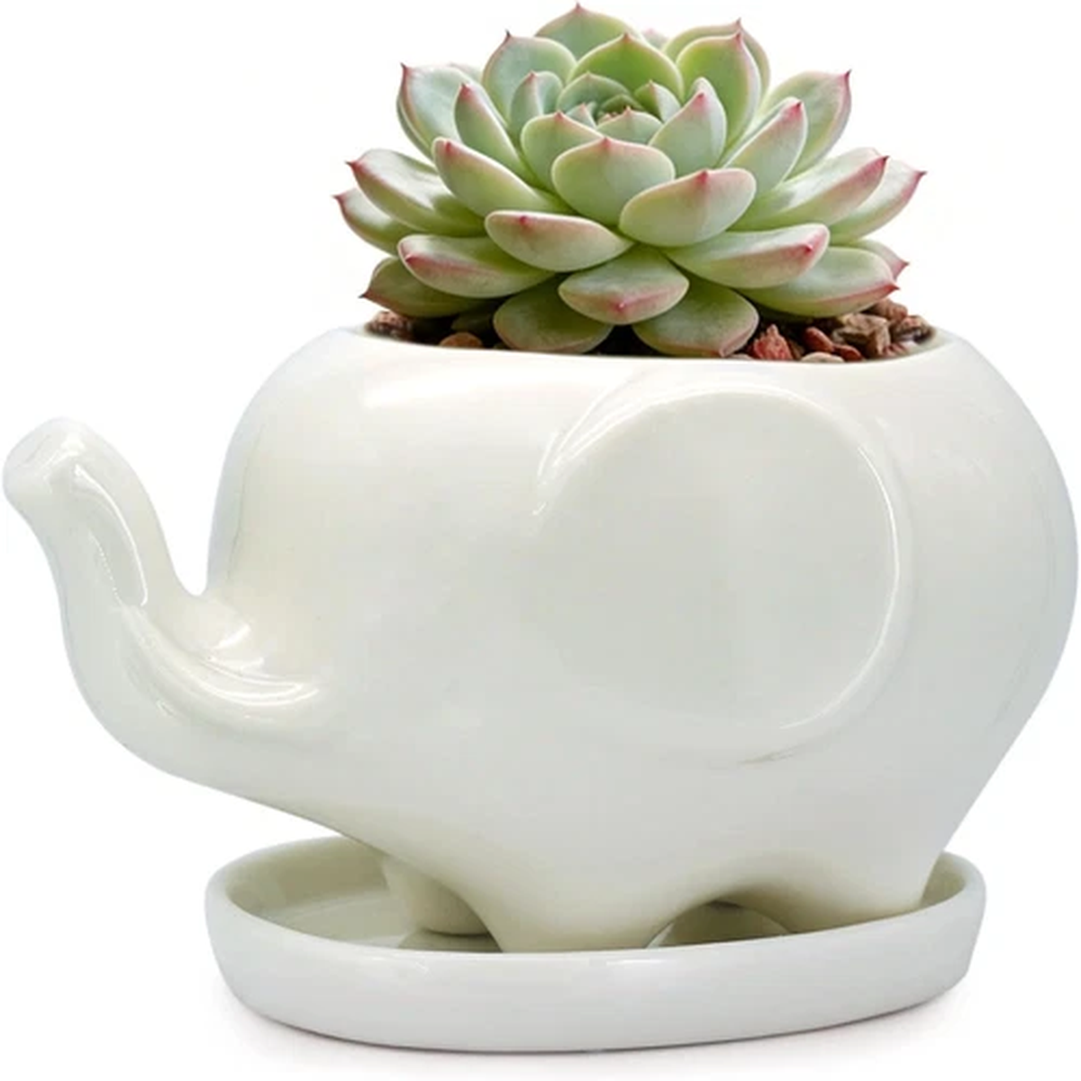 White Elephant Succulent Planter Ceramic Plant Pot Window Box with Saucer Animal