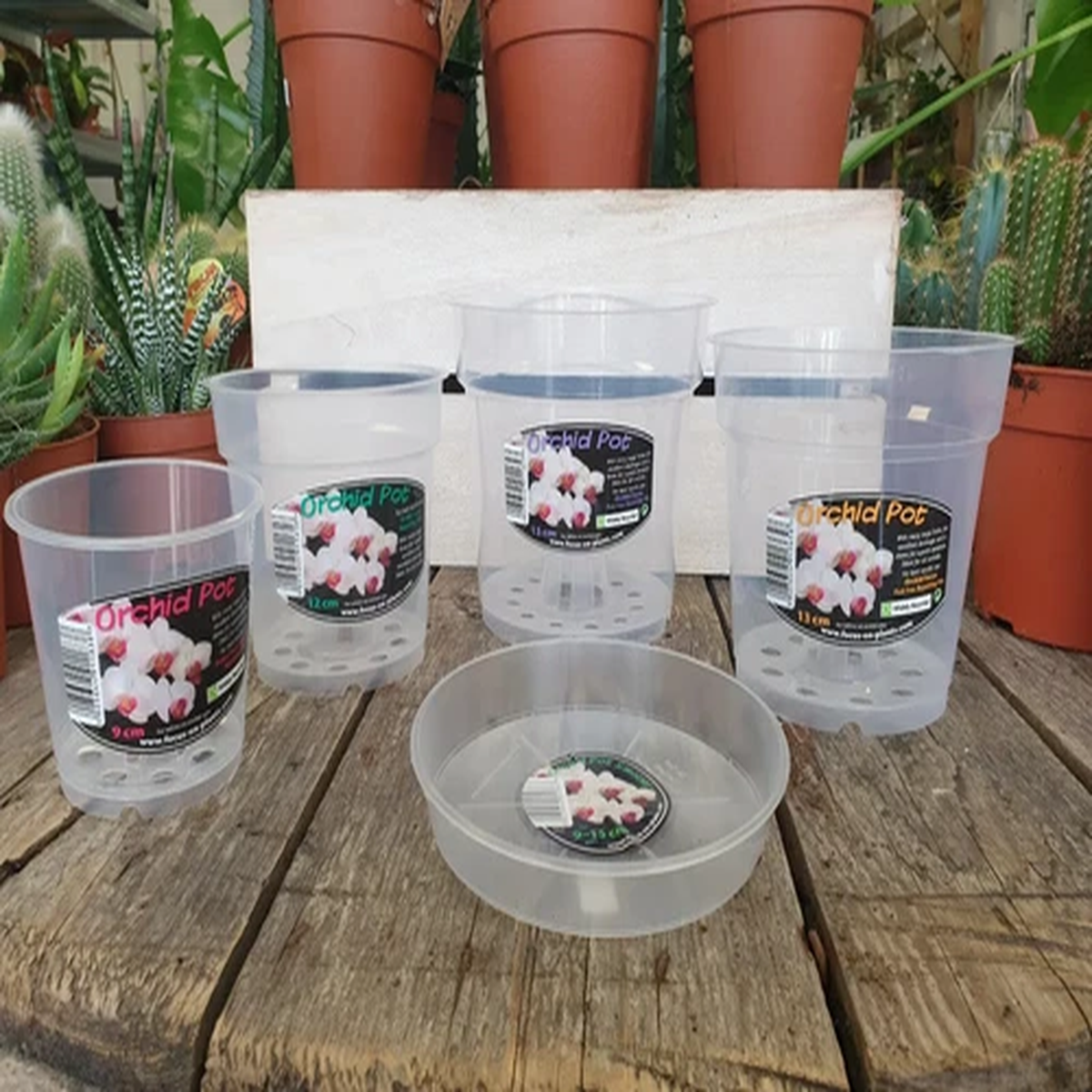 clear orchid pots and saucers 9/12/13/15/17/19/21cm flower  includes  saucer.