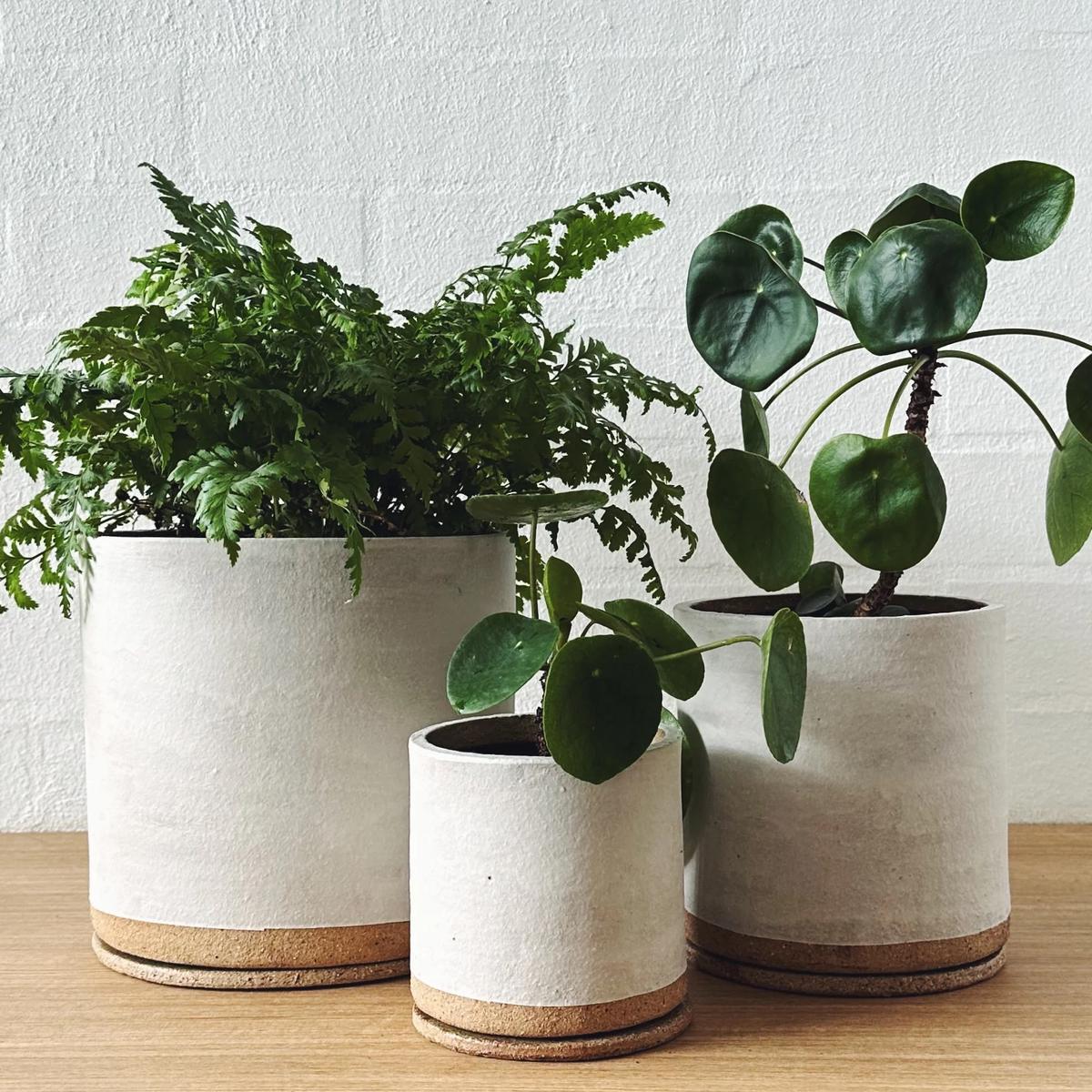Eggshell White ID Planter by Jenn Johnston