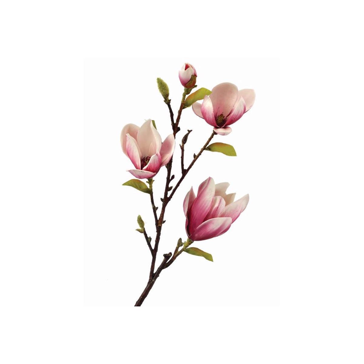 Eva Saucer Magnolia Spray 34" Pink Everlasting
