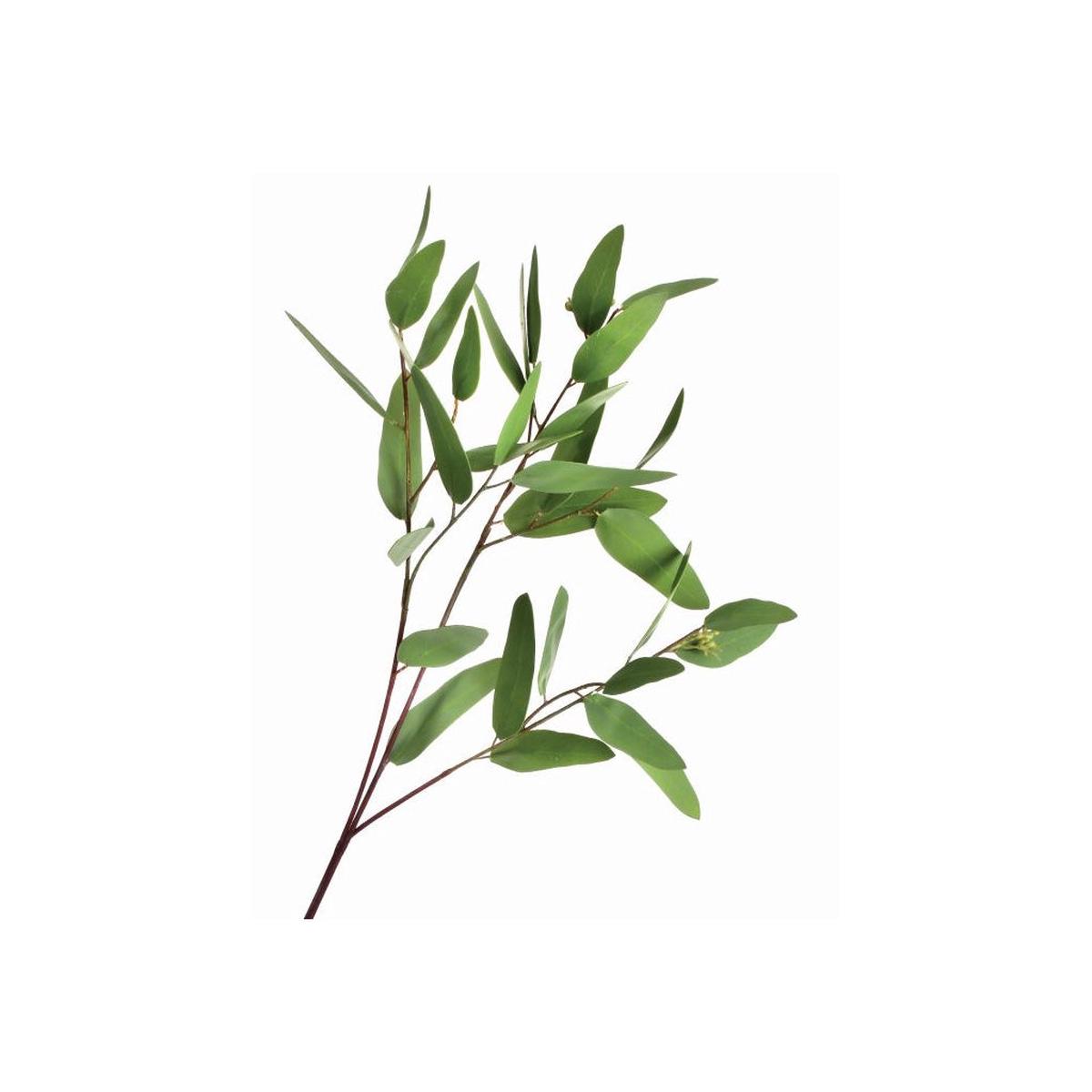 Seeded Long Eucalyptus Spray 31" Everlasting