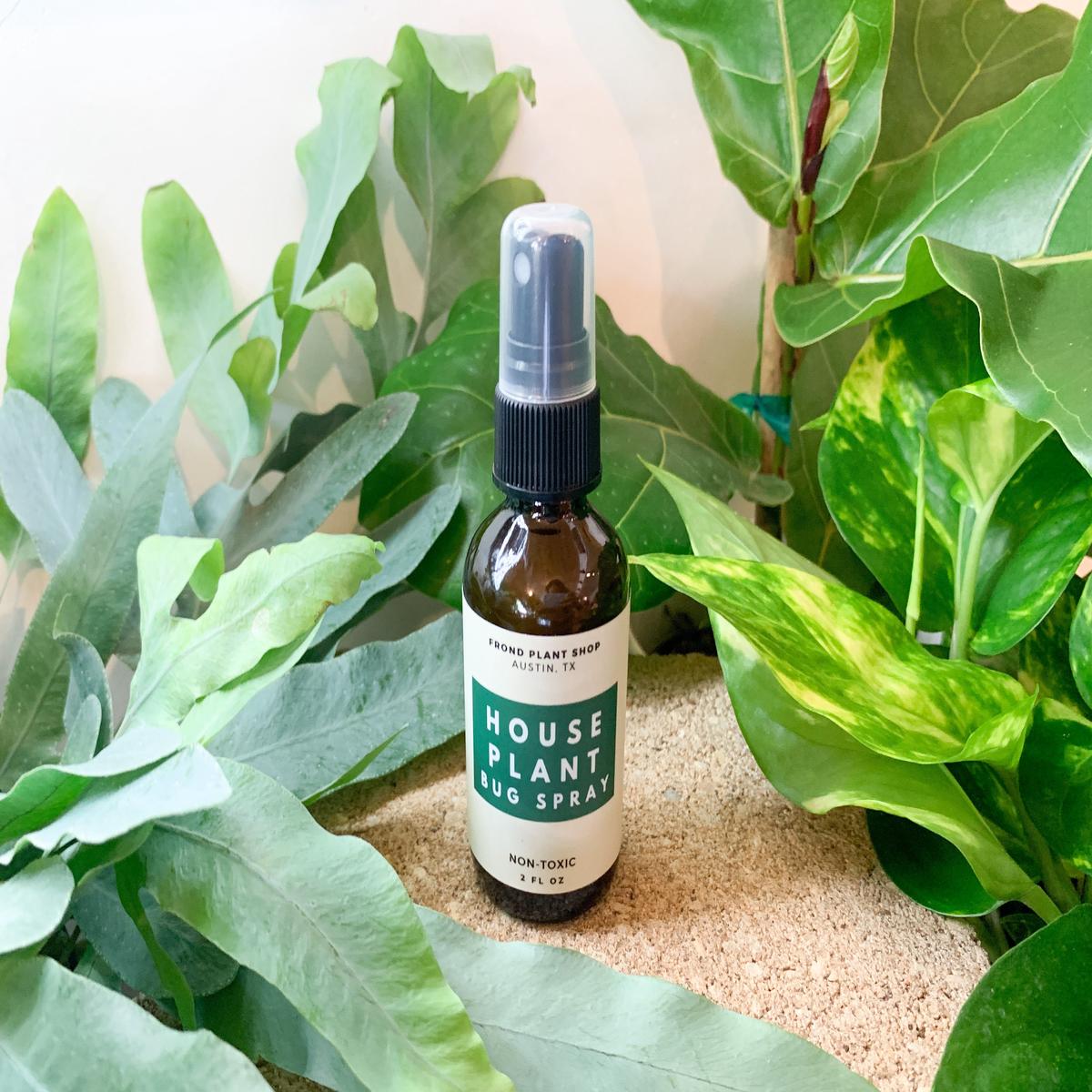 Houseplant Bug Spray