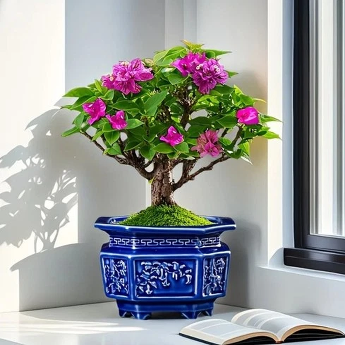5.5" Large Octagon Bonsai Pot Blue Water Glaze Bonsai Tree Ceramic