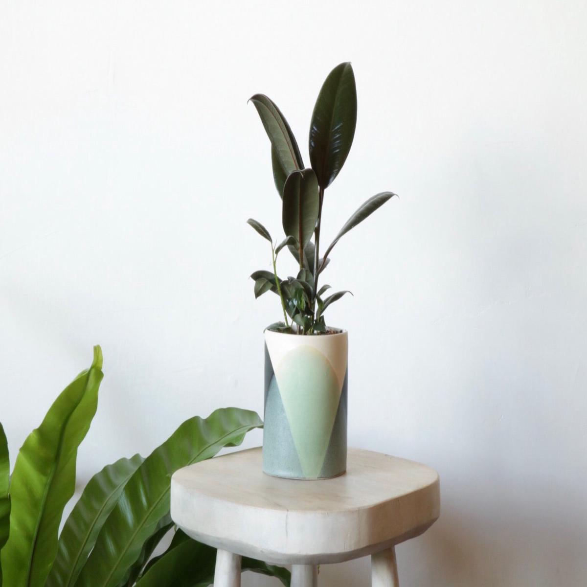 Rose Line Pottery Planter