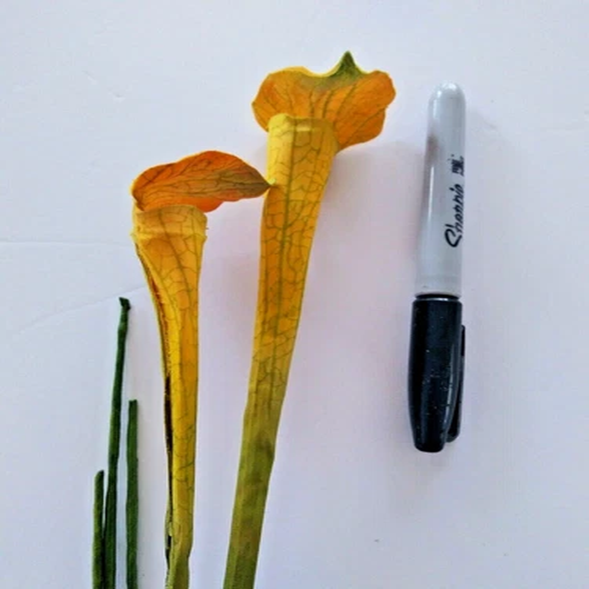 21" Mini Yellow Pitcher Plant Stems. Silk Flower Floral Arrangements.