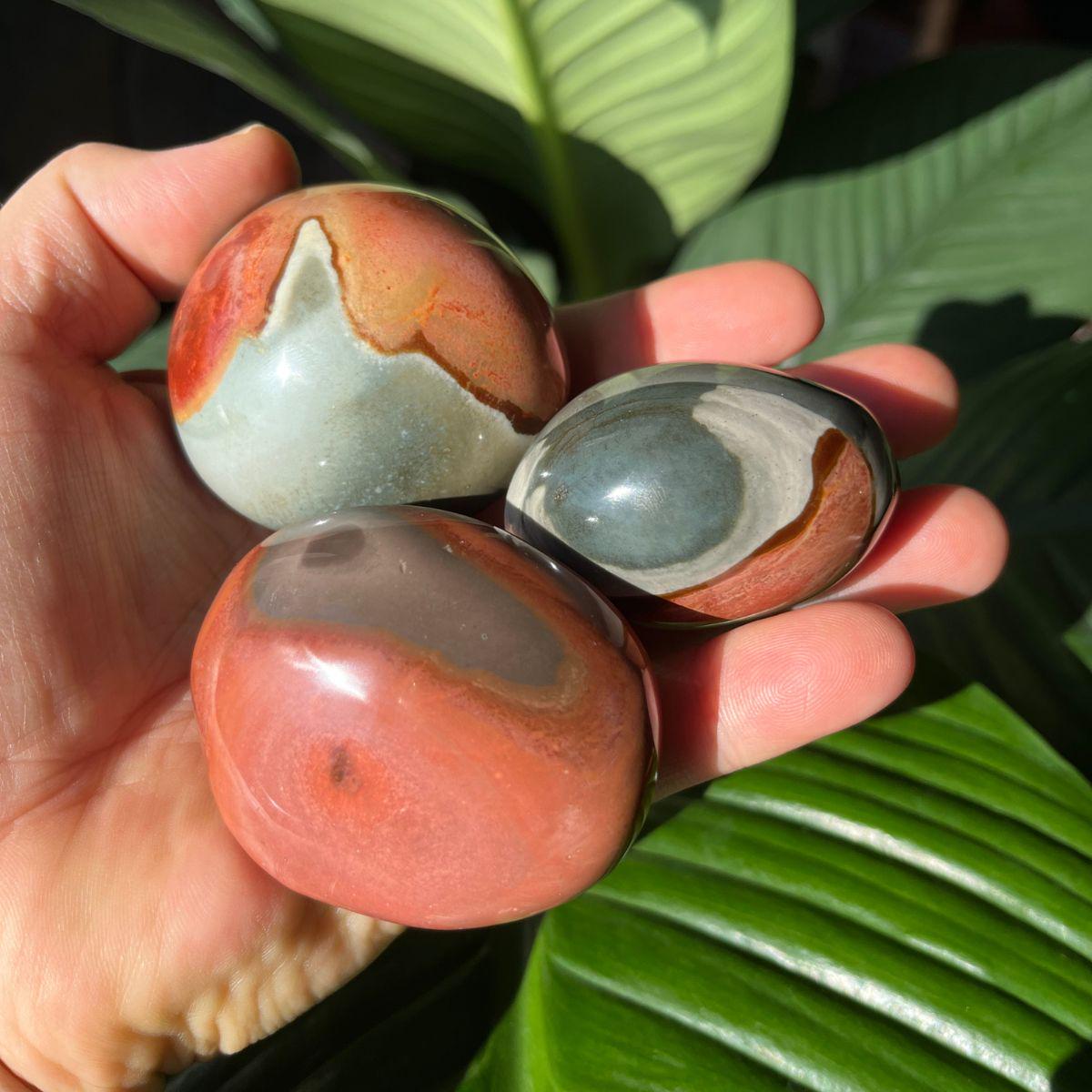 Polychrome Picasso Jasper Gallets - Polished Palm Stones
