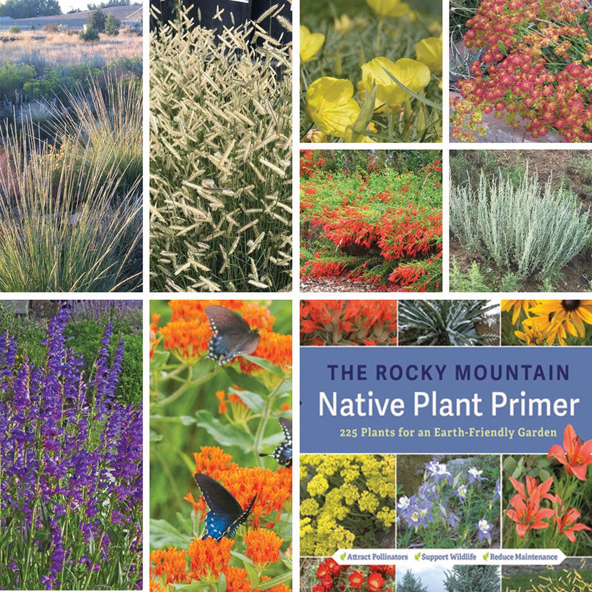 Rocky Mountain Native Pre-Planned Pocket Garden