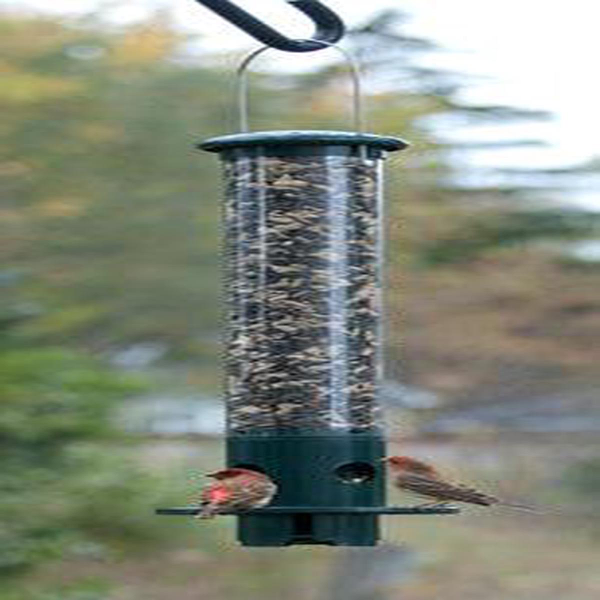 Mini Magnet Squirrel Proof Tube Feeder