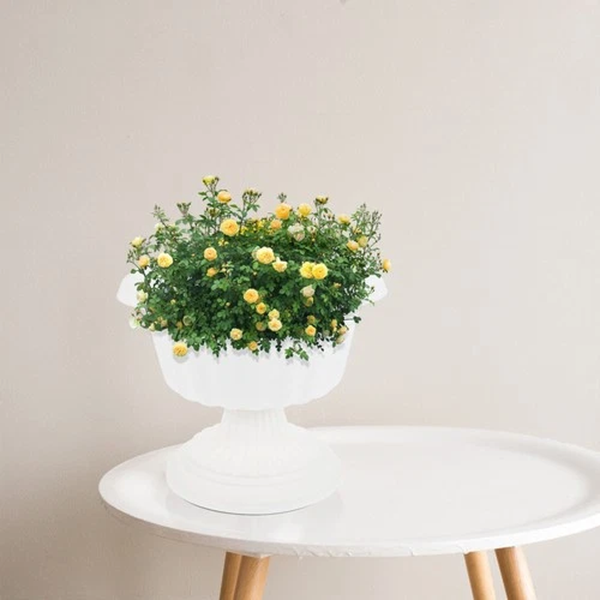 Planting Bowl European Style Flower Container Decorative Flowerpot