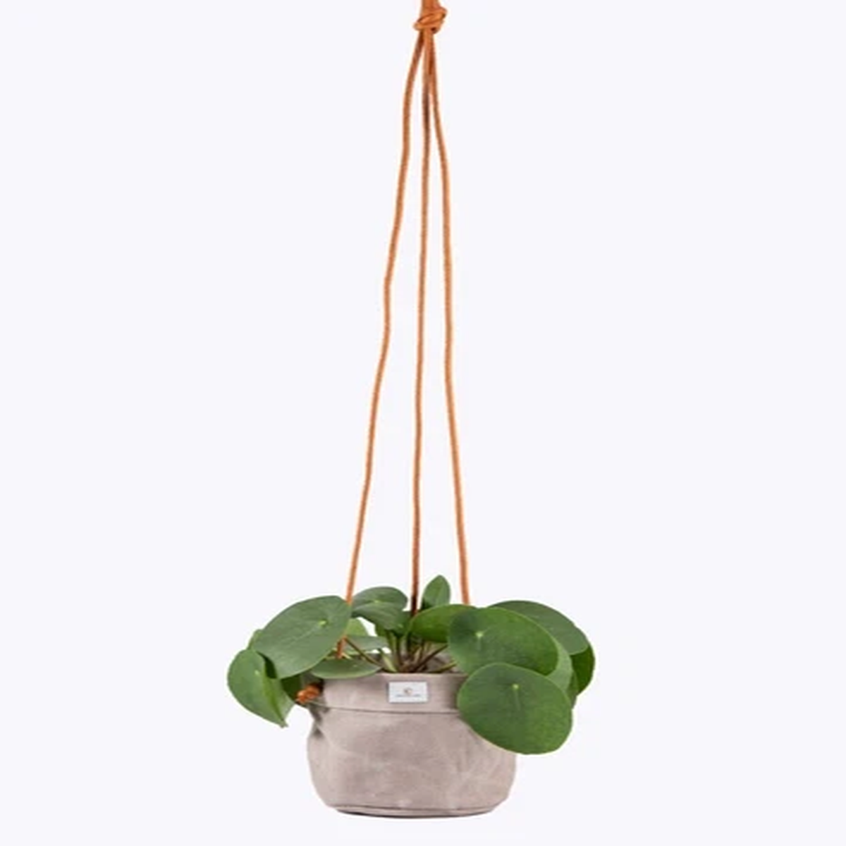 Waxed Canvas Handmade Hanging Planter for Indoor/Outdoor Plants, Hanging Basket