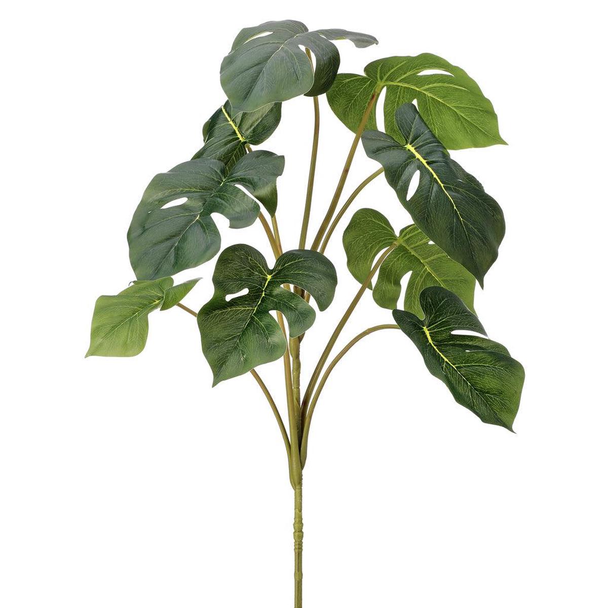 Philo Plant Plug Everlasting 32"