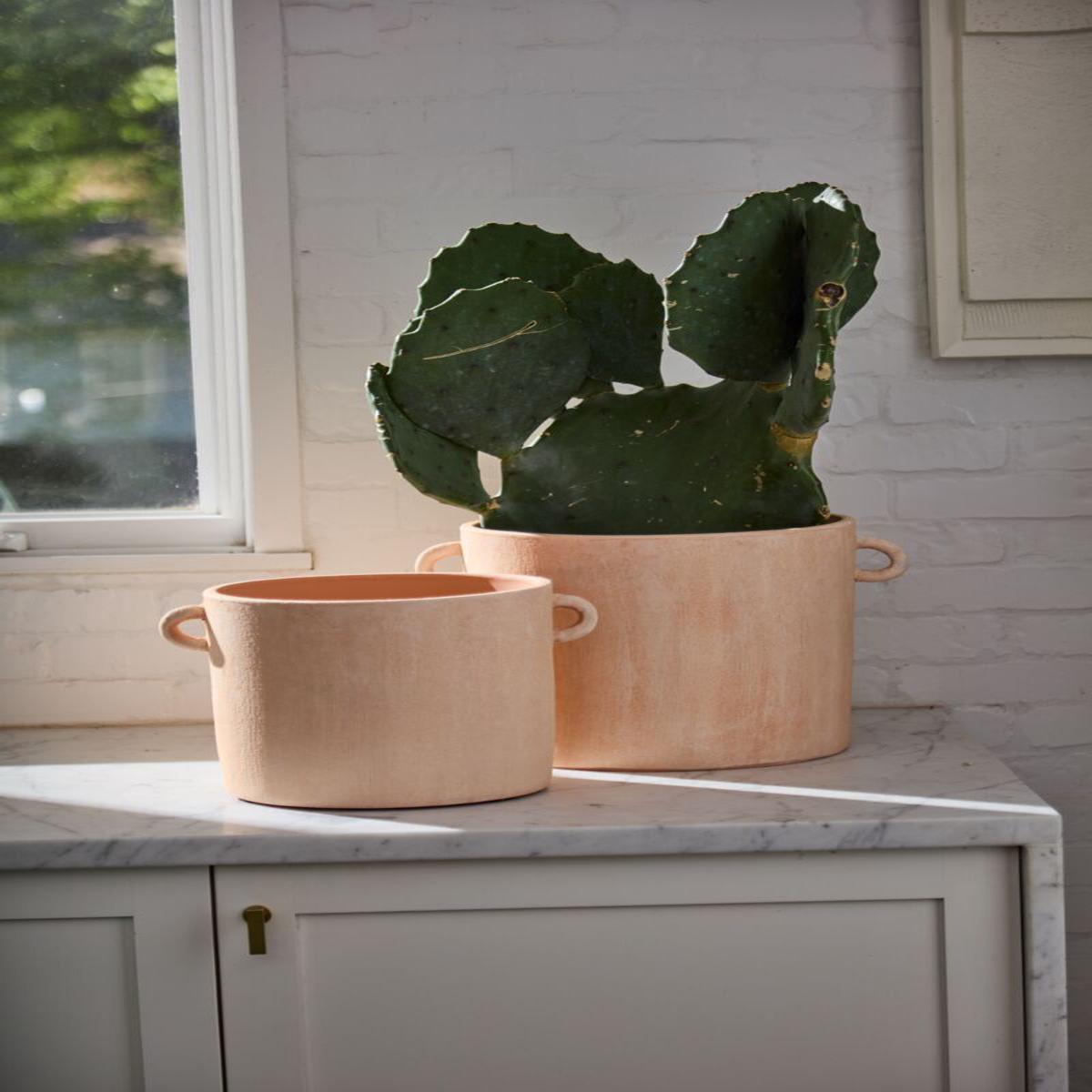 Apricot Pot