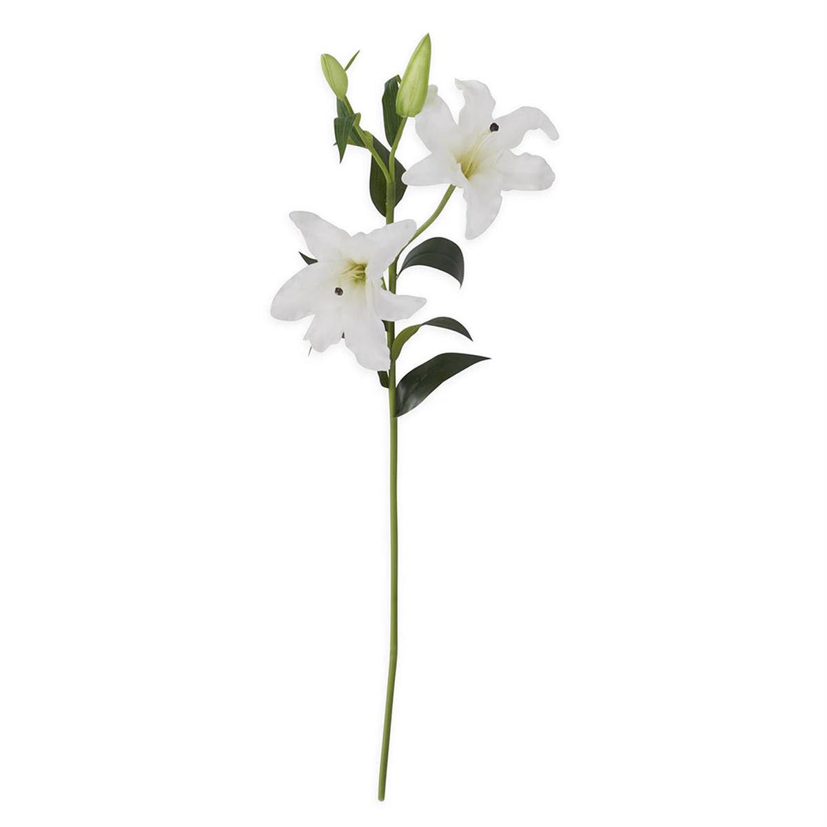 Real Touch Lily Stem White Everlasting