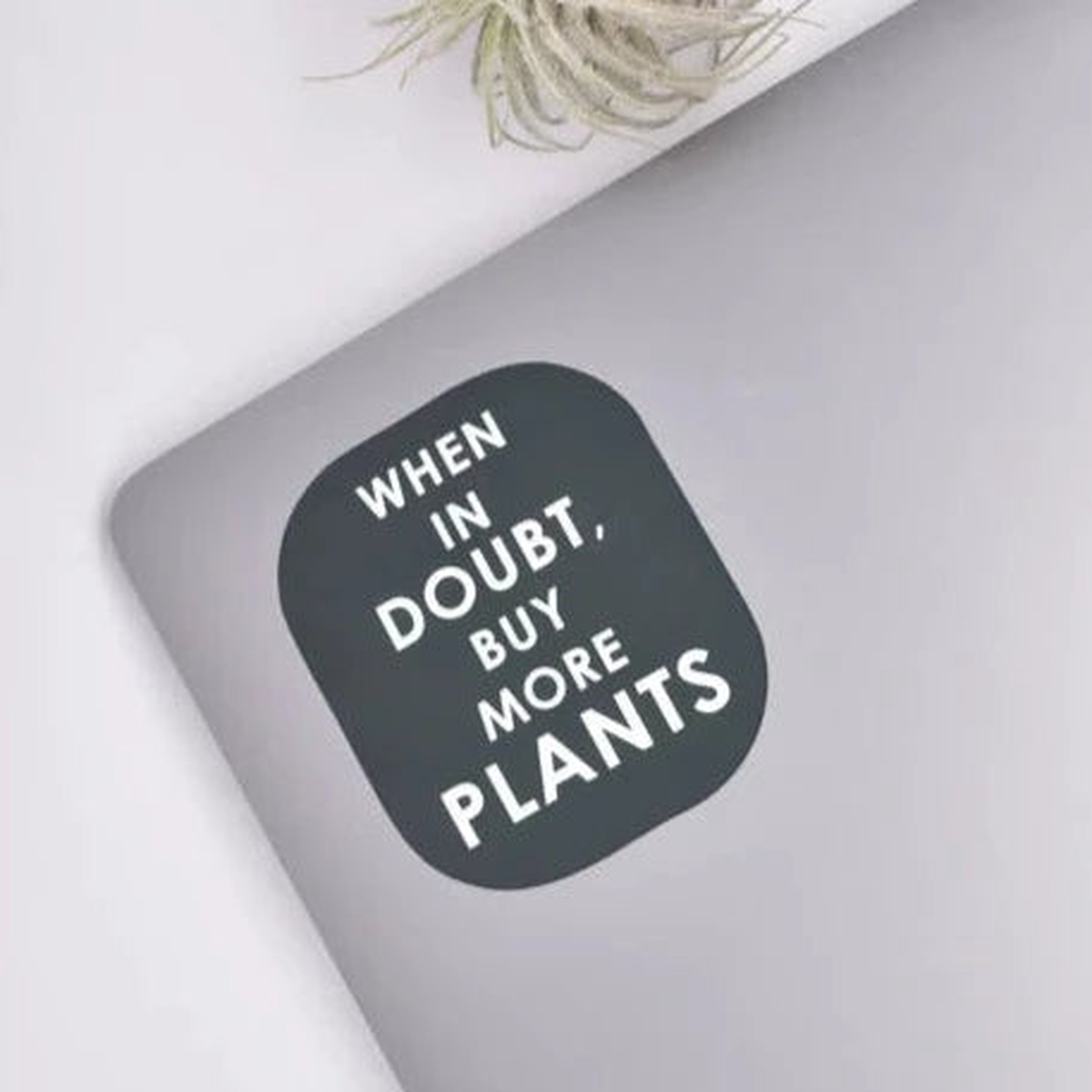 Buy More Plants Vinyl Sticker