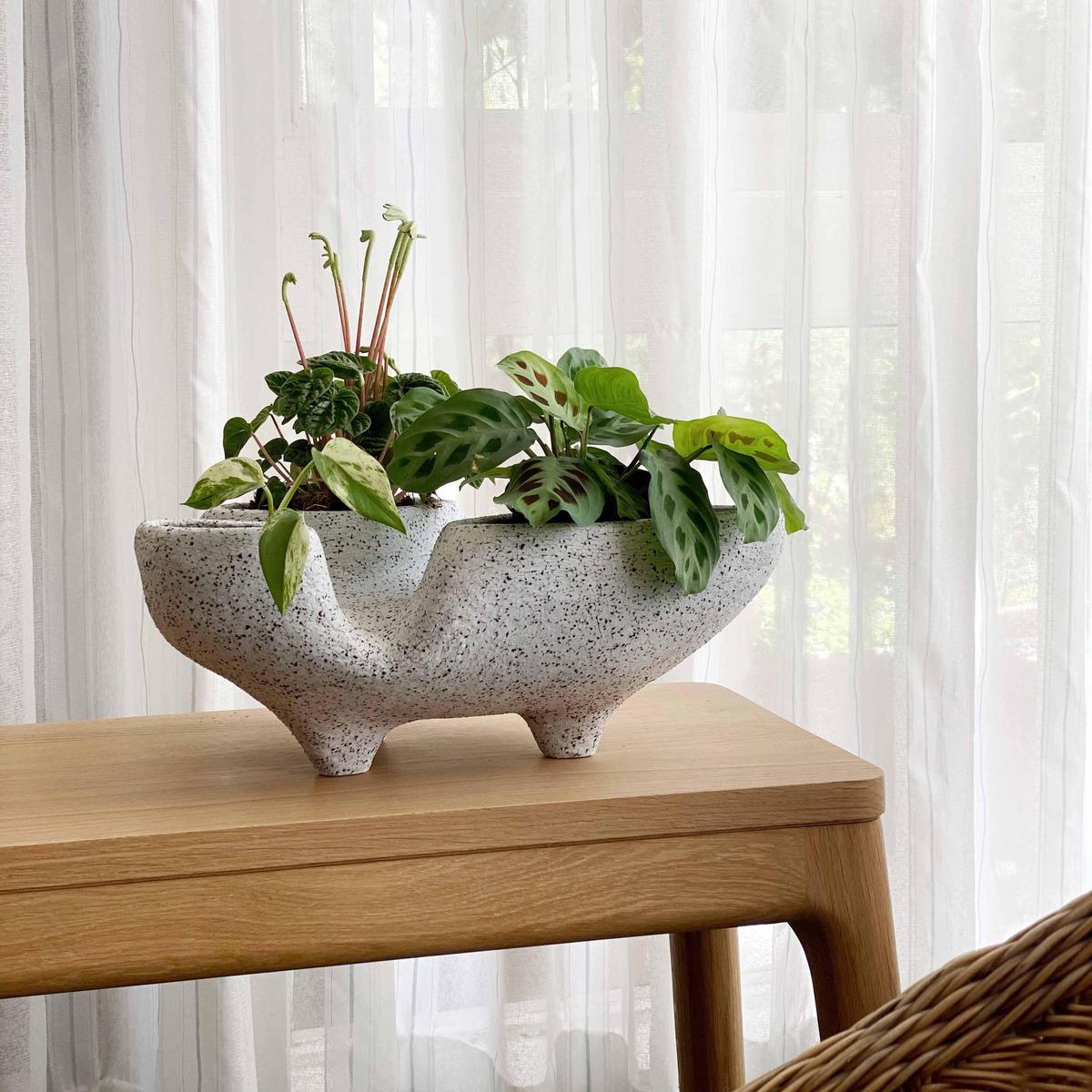 Trifango Planter by Buzzby & Fang