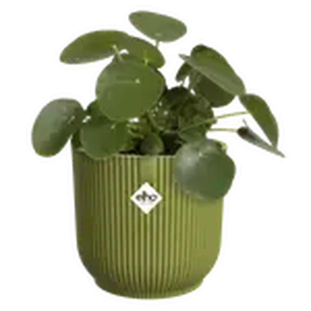 Elho Vibes Fold Round Plant Pot  16cm Fern Green