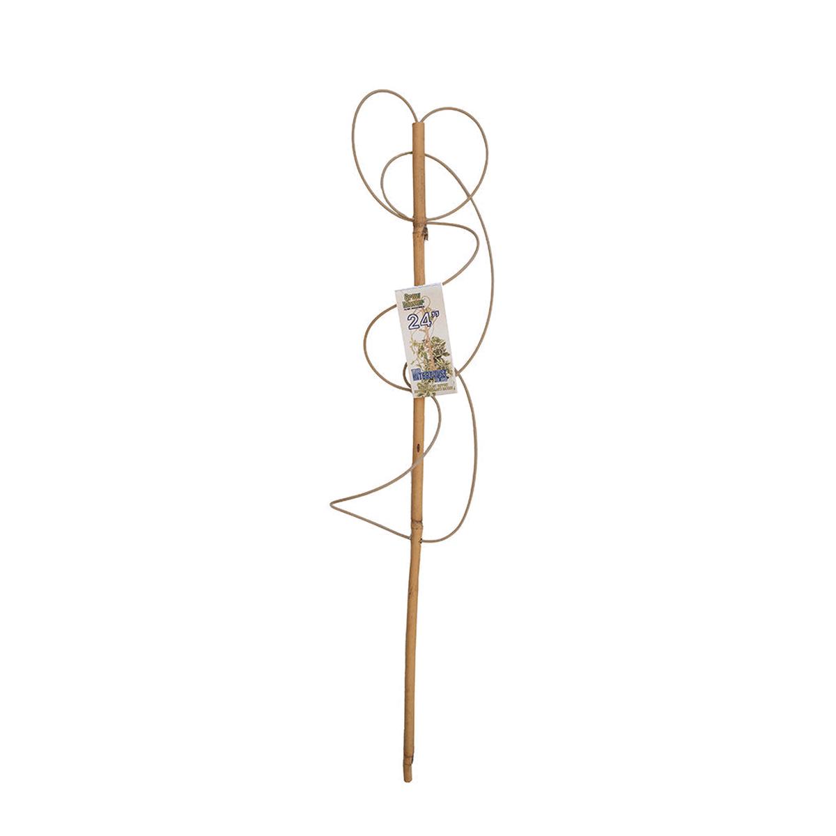 Intertwist Plant Support