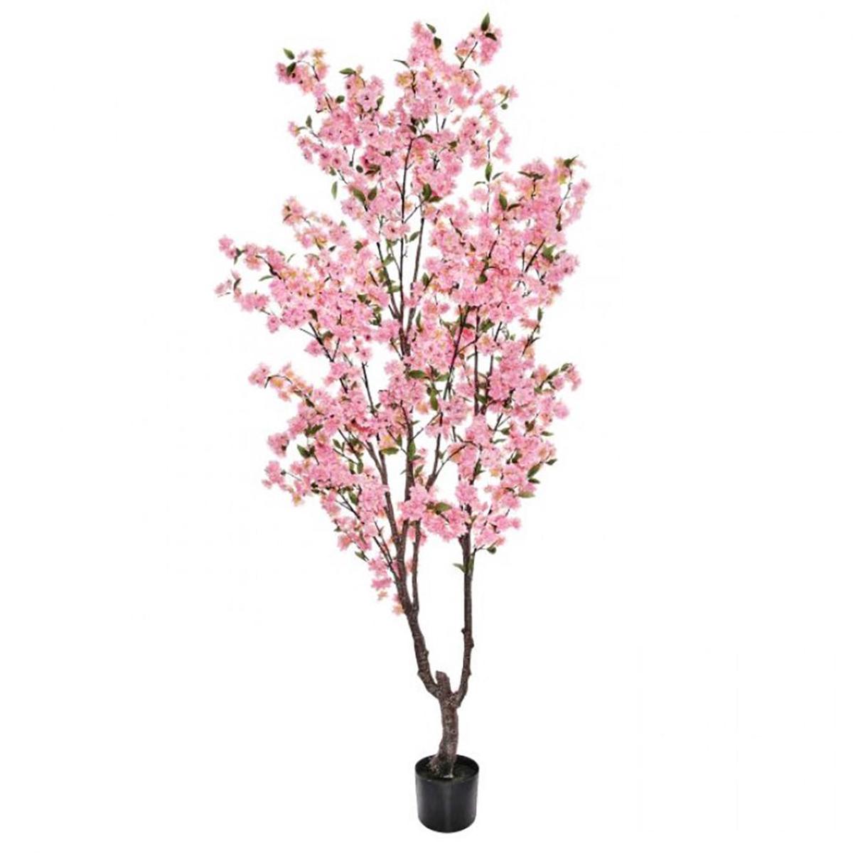 Cherry Blossom Tree Pink 6.5' Everlasting