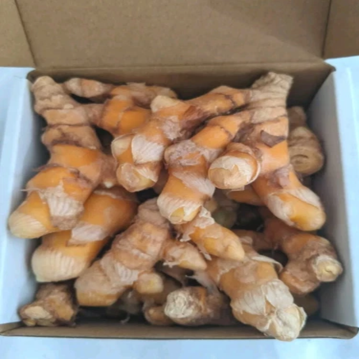 *Limited Supply* Turmeric Roots Rhizomes Box Medicinal Cooking Planting Root