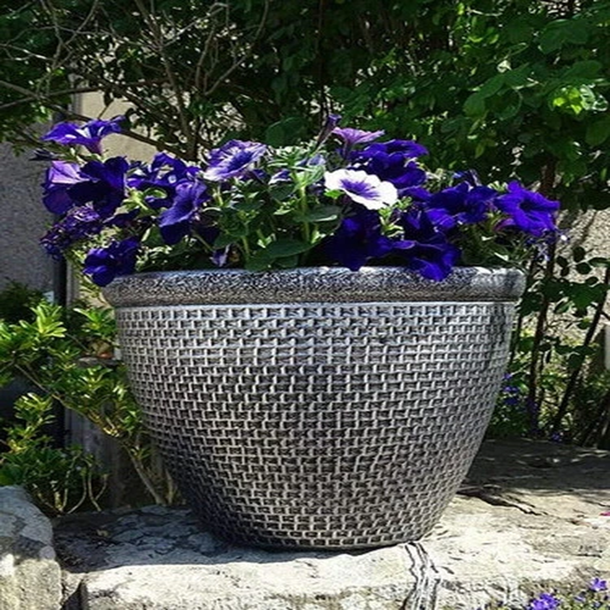 Plastic Round Cromarty Garden Plant Pot Flower Pot Planter Pack of 2