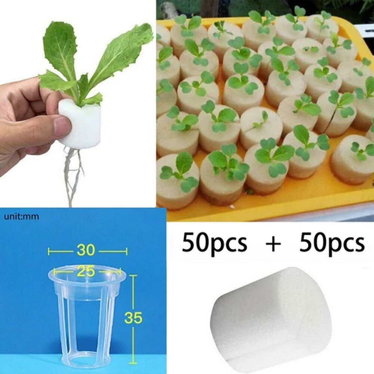 Ventilated Soilless Cultivation Equipment for Balcony Vegetable Plants 50pcs