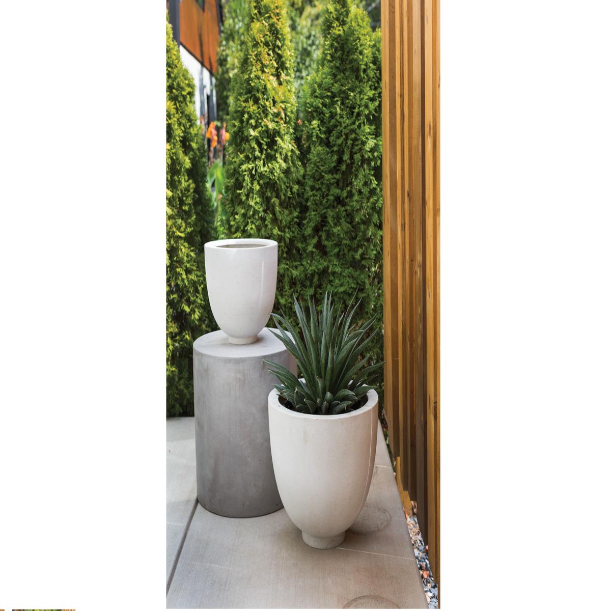Bandani Planter