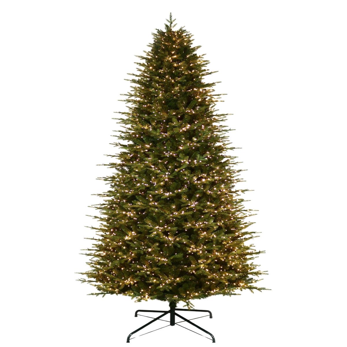 Kensington Fir 11'