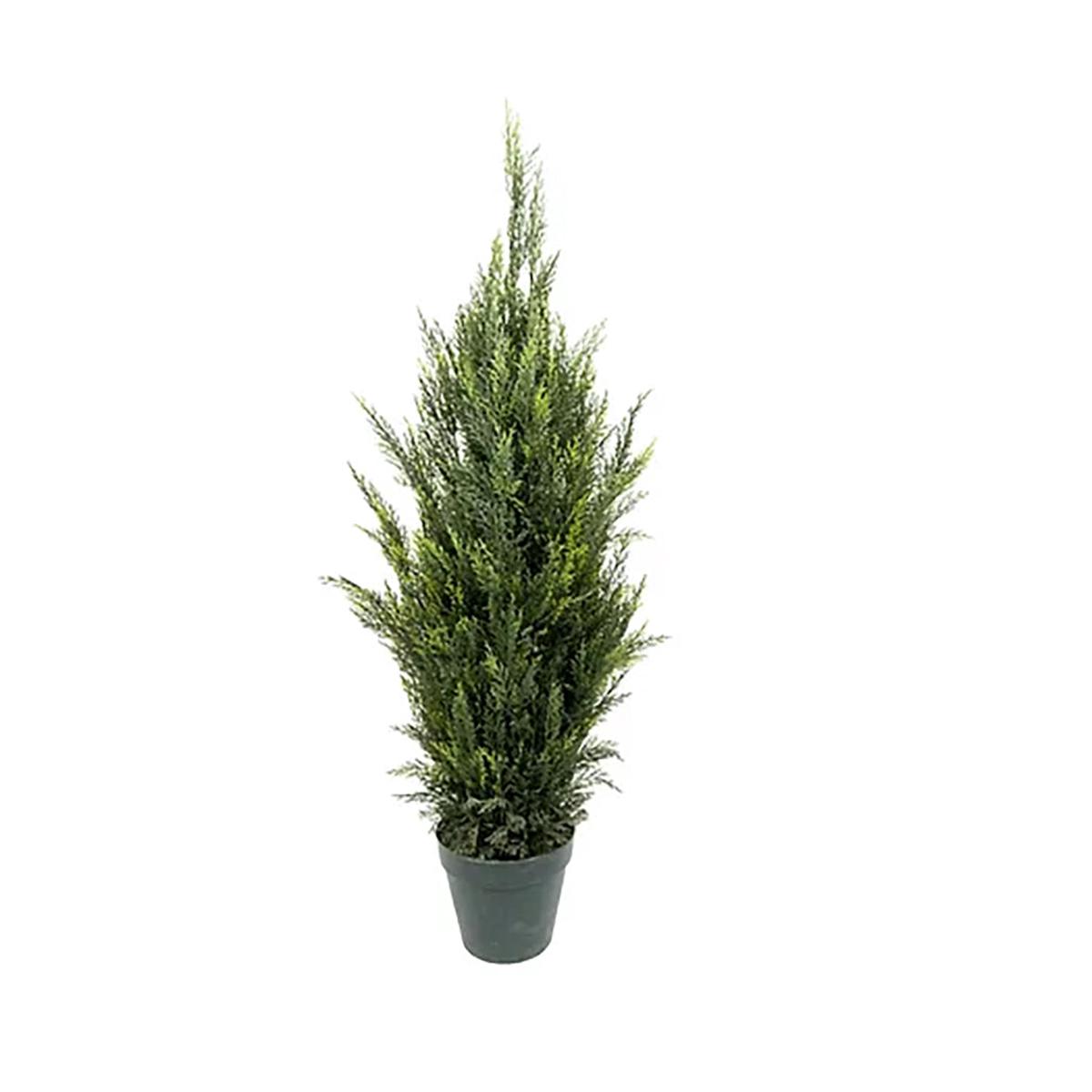 Chunky Cedar Tree 4' Everlasting