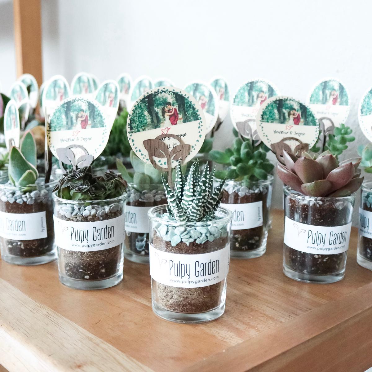Door Gifts - 'Love Succs' Bundle