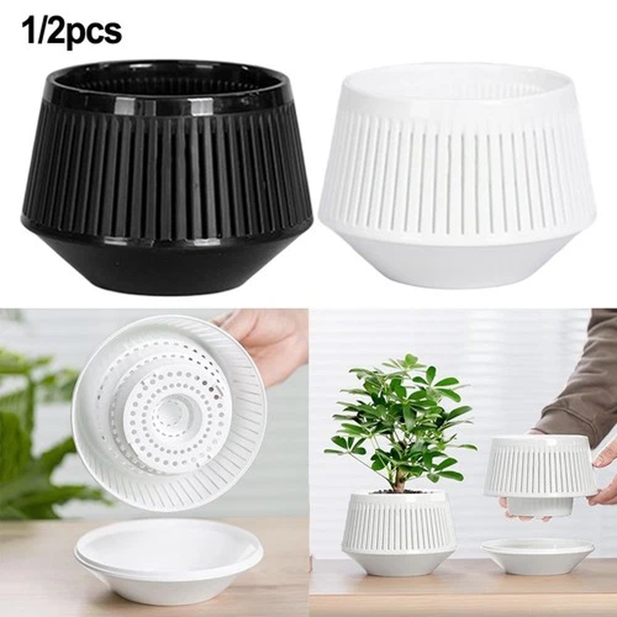 Functional Orchid Pots Designed to Promote Healthy Root Systems and Aesthetics